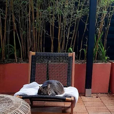 Adorable D'architecte Rez De Jardin דירה